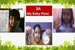 Slide1-8