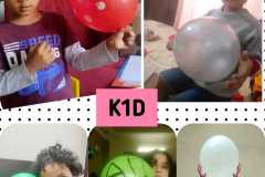 IMG-20210228-WA0007